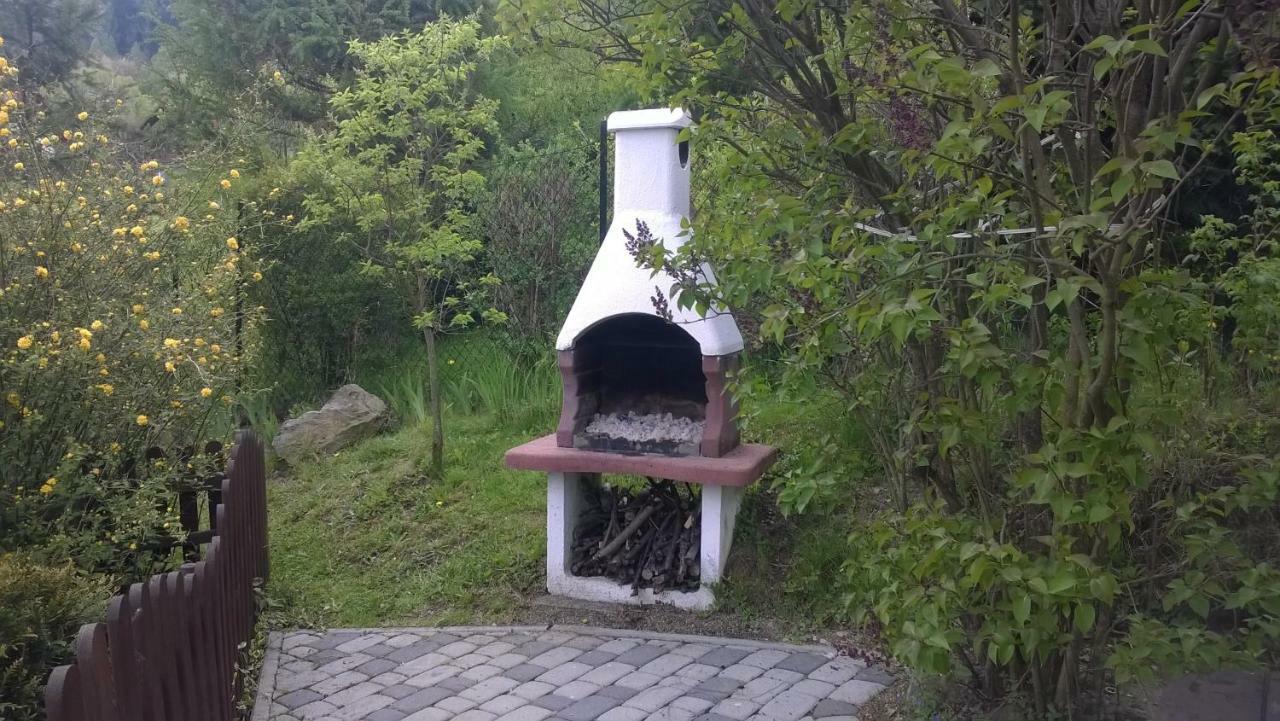 Górski Domek w Lipowej w Beskidzie Żywieckim Lipowa Exterior foto